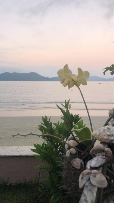 Linda Casa, Pe Na Areia Na Praia Da Fortaleza Ubatuba