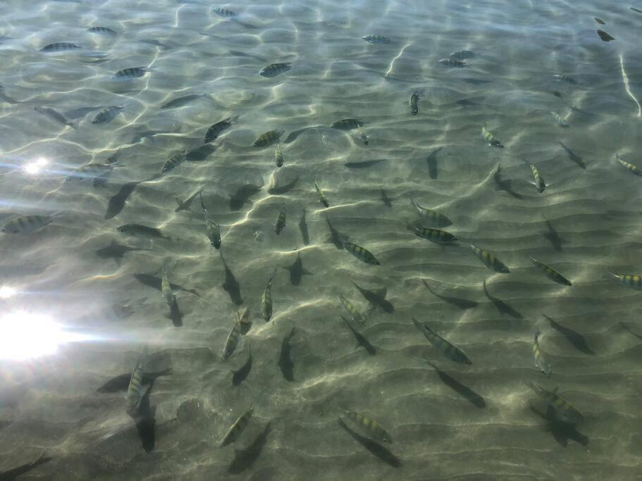Linda Casa, Pe Na Areia Na Praia Da Fortaleza Ubatuba