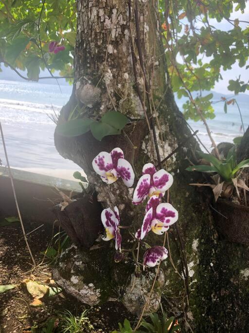 Casa de férias Linda Casa, Pe Na Areia Na Praia Da Fortaleza