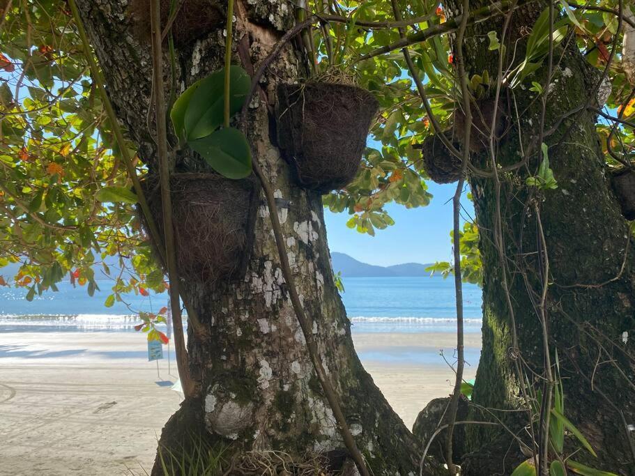 Casa de férias Linda Casa, Pe Na Areia Na Praia Da Fortaleza