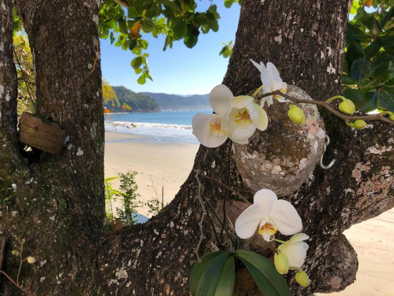 Linda Casa, Pe Na Areia Na Praia Da Fortaleza Casa de férias Ubatuba